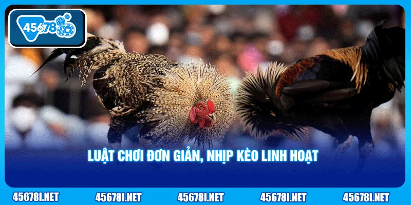 Luật chơi đơn giản, nhịp kèo linh hoạt 